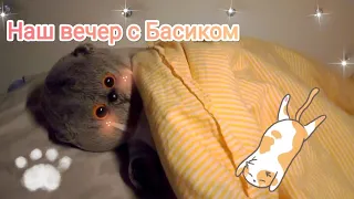 #басик #басики #влог Вечер с котом Басиком 🐾| Новый герой на канале💗