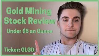 GoldMining (GLGD) Stock Review - The Updated Diversified Portfolio of GoldMining Inc.