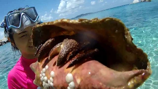 BVI - Snorkeling at Devil's Bay and Spring Bay  on Virgin Gorda Island