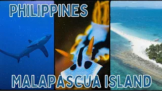 Scuba Diving The Philippines - Malapascua Island #malapascua #scubadiving