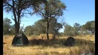 Okavango - a 4WD camping safari in Moremi NP, Botswana (Part 2)   0:25:53