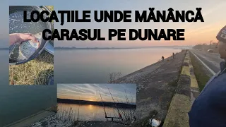 Uite unde mănâncă CARASUL pe Dunăre , lume multă loc nou și cărăsoi mari la method . Abonare