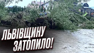 😱❗ Повінь на Львівщині! Зірвано 9 мостів! У Східниці вода підтопила будинки!