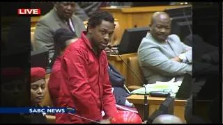 EFF disrupts parliament