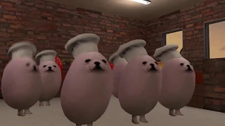 chef eggdog