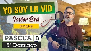 Yo Soy la Vid - Javier Brú | 5° Domingo de Pascua Ciclo B (Jn 15, 1-8)