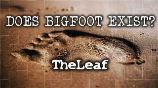 Is Bigfoot REAL? CRAZY ENCOUNTERS from WARTIME
