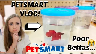 PETSMART VLOG! | Poor Bettas... They looked HORRIBLE | ItsAnnaLouise