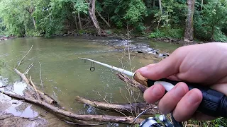 TROUT Fishing with Inline Spinners