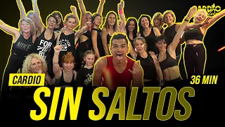 CARDIO Sin SALTOS Para Perder Peso Rápido | CARDIO Sin IMPACTO  38 Minutos