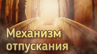 Дэвид Хокинс - Отпуская дискомфортные чувства: путь принятия. Механизм отпускания Читает: Nikosho