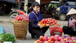 How to Harvest Passion Fruit, goes to the market sell - Harvest and Cooking |Tieu Vy Daily Life