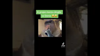 TikTok A propo meczu Anglia vs Dania XD nie wnikam co tam zaszło XDD