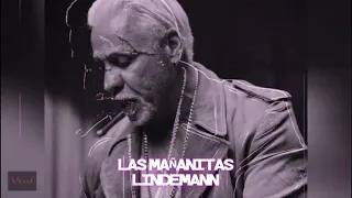Las Mañanitas de Till Lindemann (Rammstein) Piano.