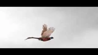 Убийцы фазана 2014 трейлер