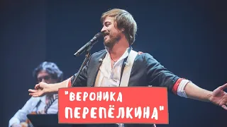 ПРЕМЬЕРА ПЕСНИ| Алексей Петрухин |"Вероника Перепёлкина"