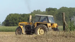 Ursus 1614 ruszanie z dwoma przyczepami pod górkę - żniwa 2018 - Brzysko - Rol