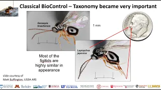 Recent Advances in Organic Pest Management of Spotted-wing Drosophila