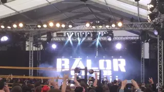 Finn Bàlor entrance - NXT Download