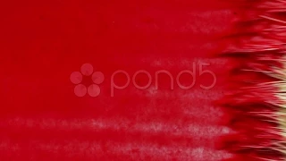 Drawing With A Brush In Red Paint. Stock Footage