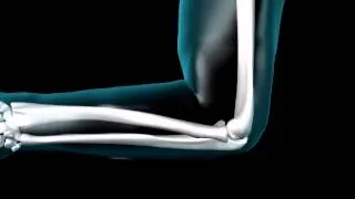 Elbow Joint - 3D Medical Animation || ABP ©