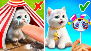 Digital Circus Saved Tiny Kitten 😺 *Best Crafts And DIYs From My Pet*