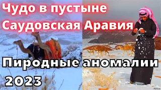 Чудо природы в пустыне Саудовской Аравии 2023. Природные аномалии пустыни!!