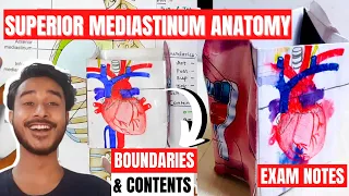 Superior Mediastinum Anatomy Boundaries and contents | Mediastinum anatomy