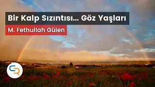 Bir kalp Sızıntısı... Göz Yaşları | Hitap Çiçekleri | M. Fethullah Gülen