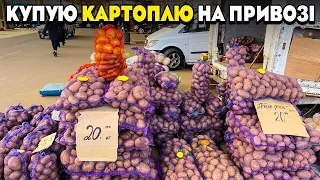 Вибираю картоплю на Привозі 🥔 Що купують одесити ❓ Ціни на опт ⚓️