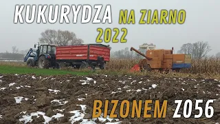 🇵🇱 🔥Wtopa 2022!🔥Ostatni Ryk BIZONA Z056...🔥Gnojowica & Kukurydza na Ziarno 2022!🔥🇵🇱