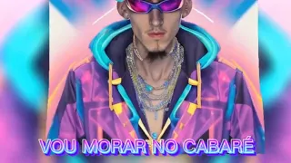 VOU MORAR NO CABARÉ- MC DUZINHO ( DJ MAVICC )