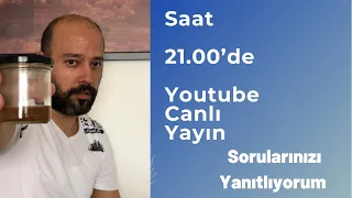 Saçlarım Yeniden Çıktı l Saç Çıkaran Mucize Doğal Kür l Saç Dökülmesine Karşı Çözüm