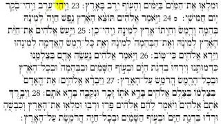 Torah Reading - Genesis Chapter 1