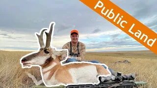 Hunting Antelope in South Dakota with a 6.5 Grendel! Public Land