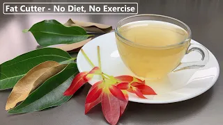 Bay Leaves Tea | No Diet No Exercise | Natural Fat Burner Detox Drink | Best Anti Diabetic Drink