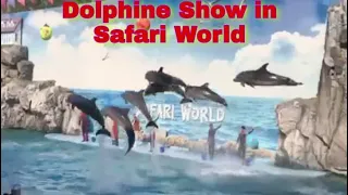 Dolphin Show at Safari World