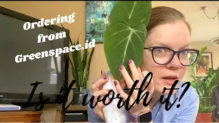 UNBOXING from Greenspace.id || RARE HOUSEPLANT HAUL || Spring 2020
