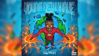 YNW Melly - Young New Wave (Full Album)