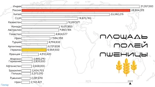 ТОП стран мира по площади полей пшеницы.Рейтинг стран производящих пшеницу.Статистика.Инфографика
