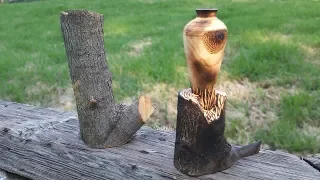 Branchwood Vase