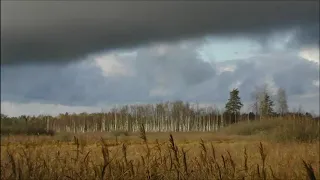 Иеромонах Роман. «Много думал я о судьбе своей...»