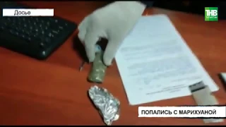 Более полукилограмма марихуаны изъяли полицейские в Чистополе | ТНВ