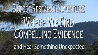 Bigfoot Research Adventure Where We Find Compelling Evidence and Hear Something Unexpected