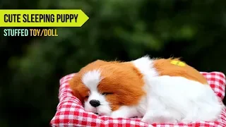 Realistic Sleeping Puppy Miniature Plush Doll Overview