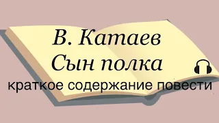 Валентин Катаев "Сын полка" краткое содержание повести