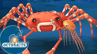 Octonauts - Le Crabe-Araignée Géant | Dessins animés pour enfants