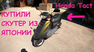 Как я подбирал скутер из Японии. Покупка Honda Tact 30.