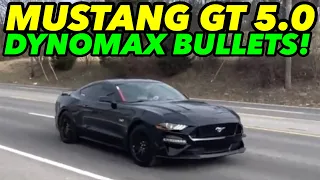 2019 Ford Mustang GT 5.0L V8 Dual Exhaust w/ DYNOMAX RACE BULLETS!