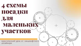 Как разместить МНОГОЛЕТНИКИ, КУСТАРНИКИ и РОЗЫ на маленьком участке? 4 схемы посадки.